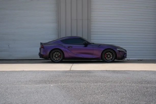 Casino Showreel Bingo Android/iOS rakendus